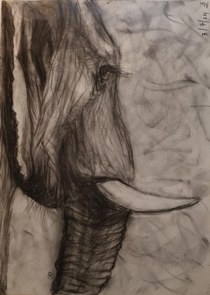 Sketches