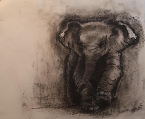11’’ x 12’’ charcoal on paper